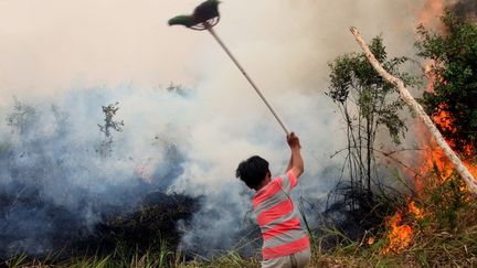 Sécheresse, inondations, tempêtes, incendies… Les conséquences du