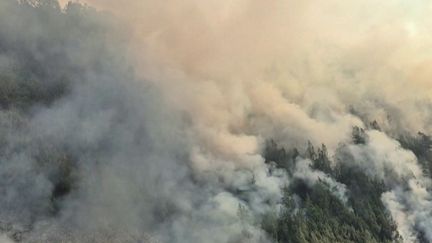 Feux en Indonésie : la région sous un nuage toxique