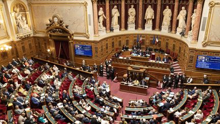 Le Sénat rejette la réforme constitutionnelle sur l'autonomie de la Corse, censée aboutir à l'octroi de pouvoirs dérogatoires à l'île