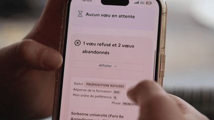 Parcoursup : lettre de motivation, anonymisation, refus… ce qui pourrait changer