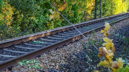 Collision de deux trains en Espagne : les autorités locales déplorent