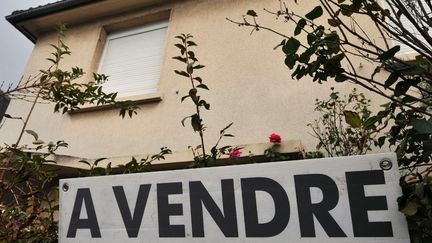 REPORTAGE.