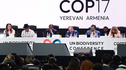 À la COP17 sur la biodiversité, le monde s'engage à remettre sur les rails les efforts pour protéger la nature